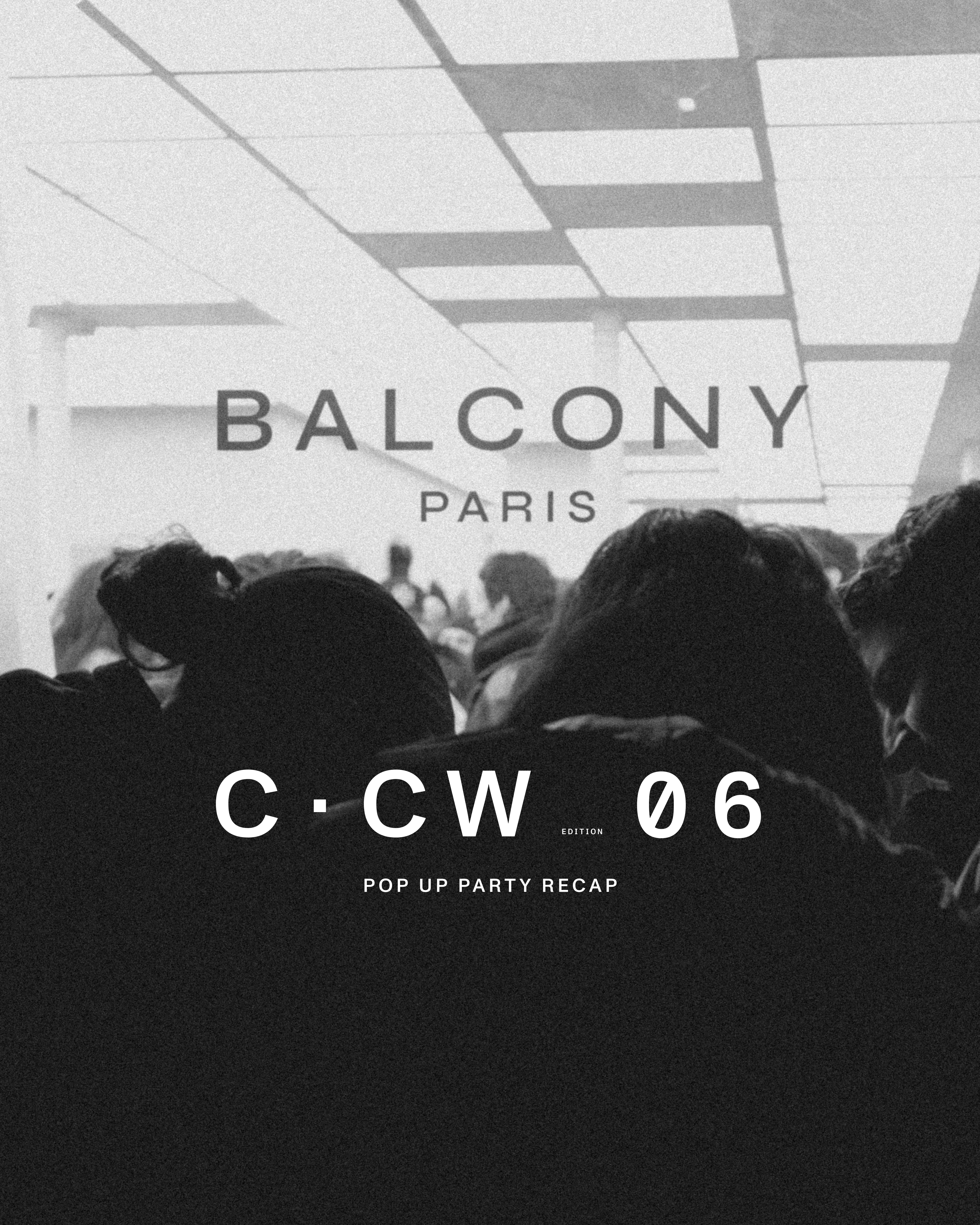 CCW06: Connecting Curated Worlds 06